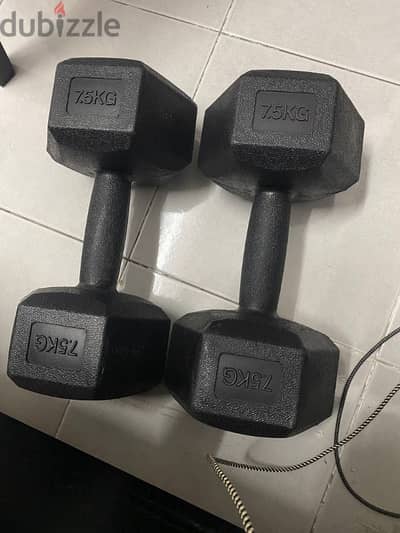 dumbbell set  14 kg 12 kg 10 kg 8 kg 6 kg 5 kg  0nly