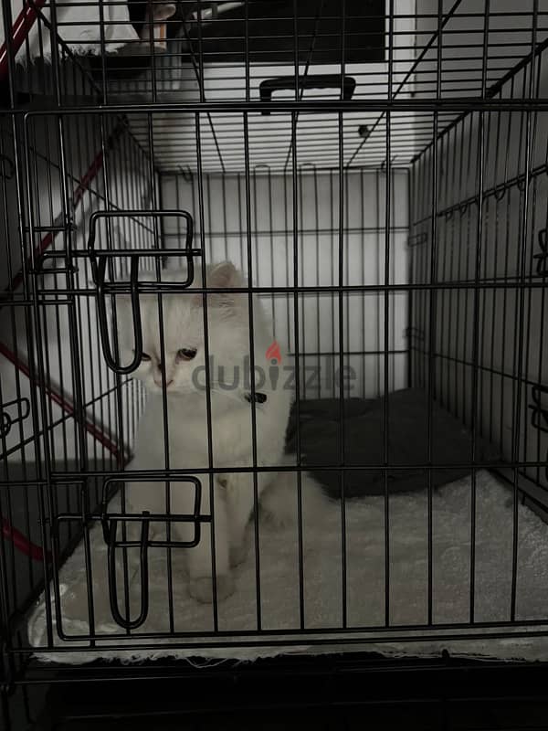 cat cage for sale 0