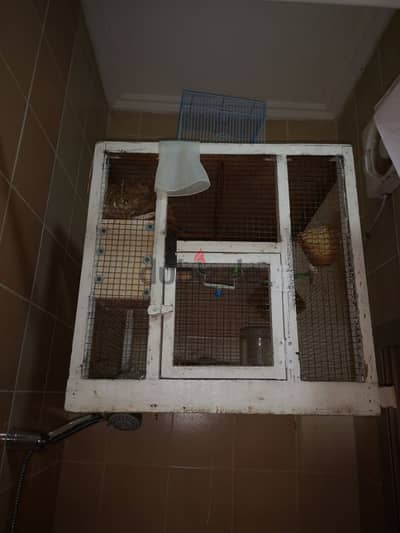 cage with breeding box