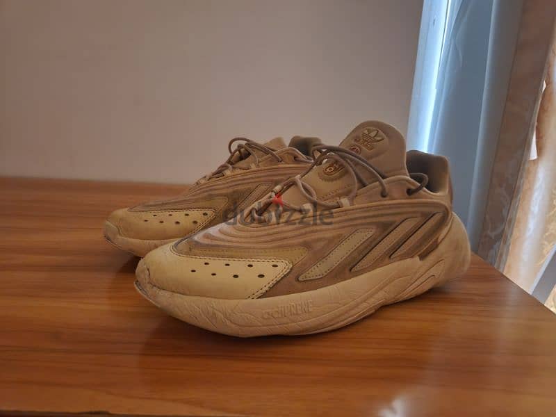 Adidas shoes lightly used and very comfortable 2