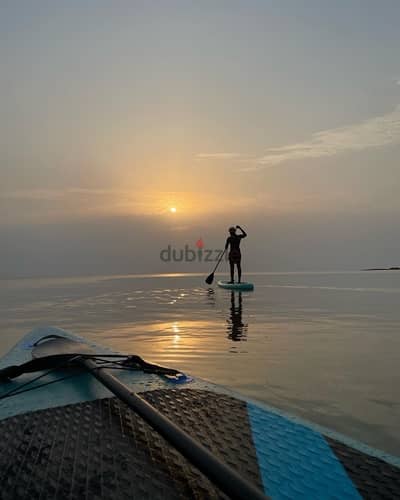 paddle board