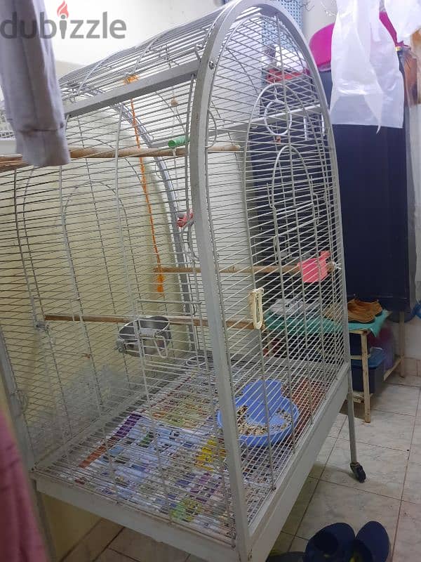 Big Cage For Sale 1