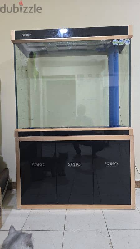 Fish Aquarium For Free 1