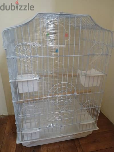 bird's cage, new one