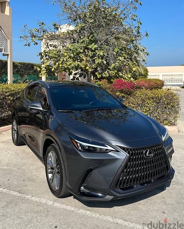 Lexus NX350 hybrid 2023 2