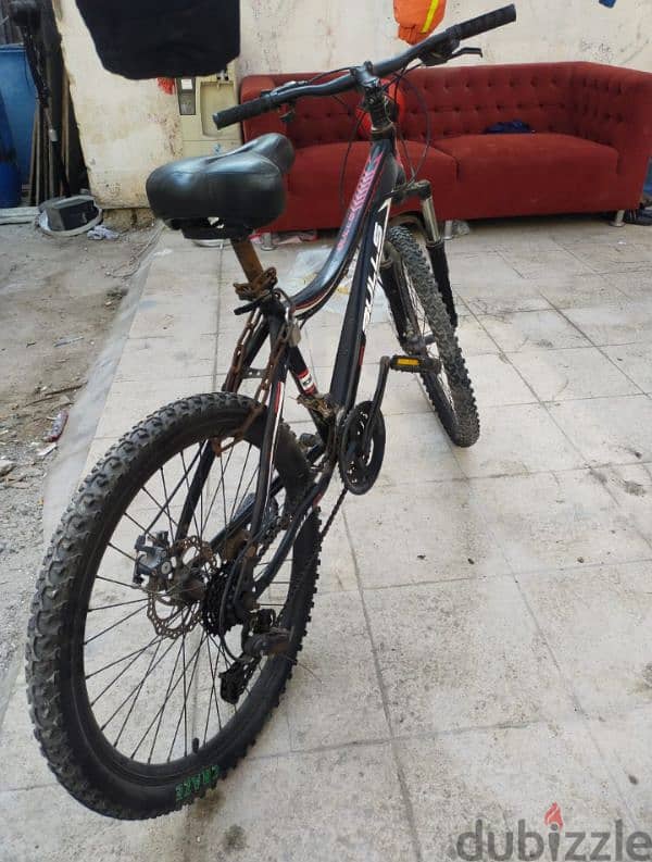 BuLLs Bicycle for Sale 2