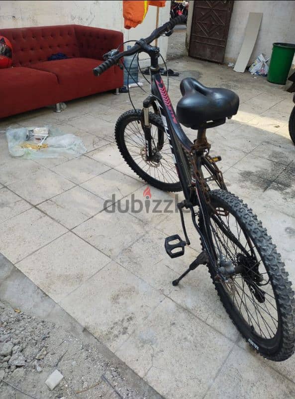 BuLLs Bicycle for Sale 3