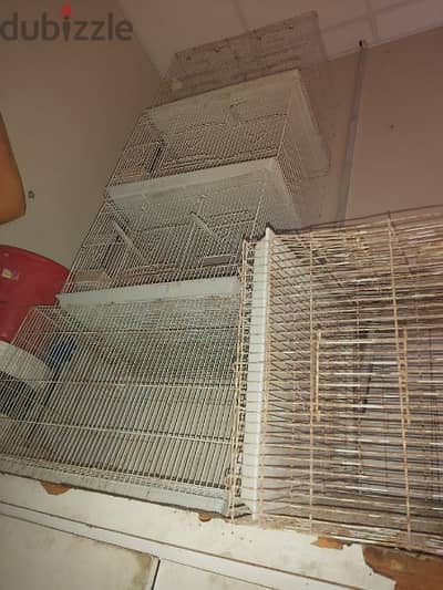 7 to 8 cage for sale 4 bd each