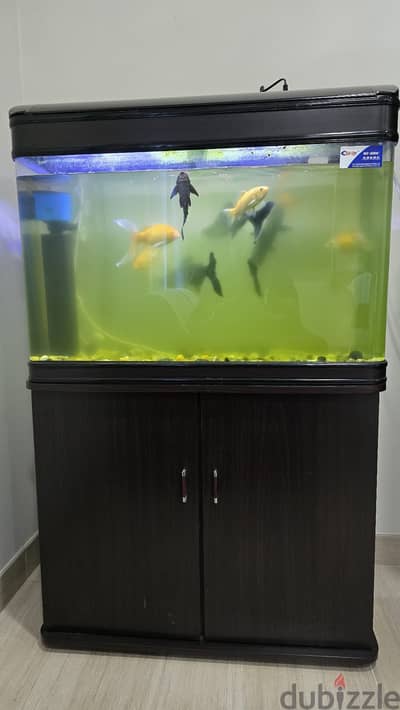 Fish Tank with accessories