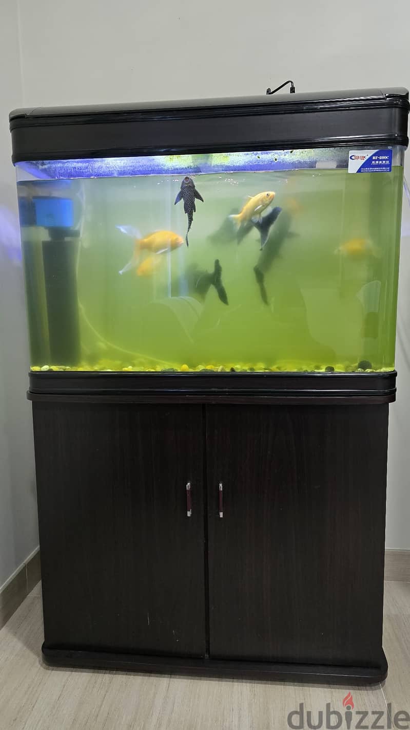 Fish Tank with accessories 0