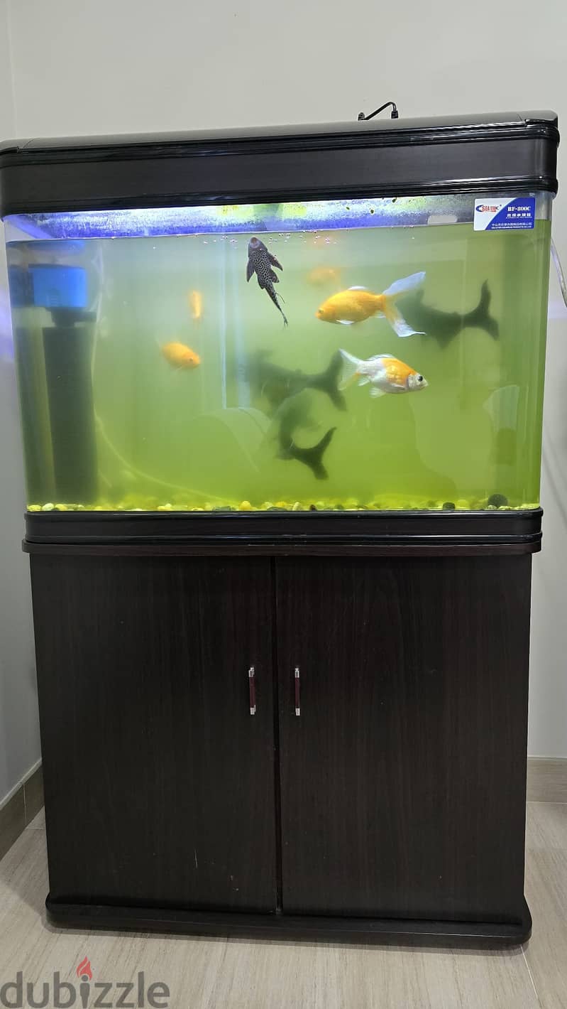 Fish Tank with accessories 1