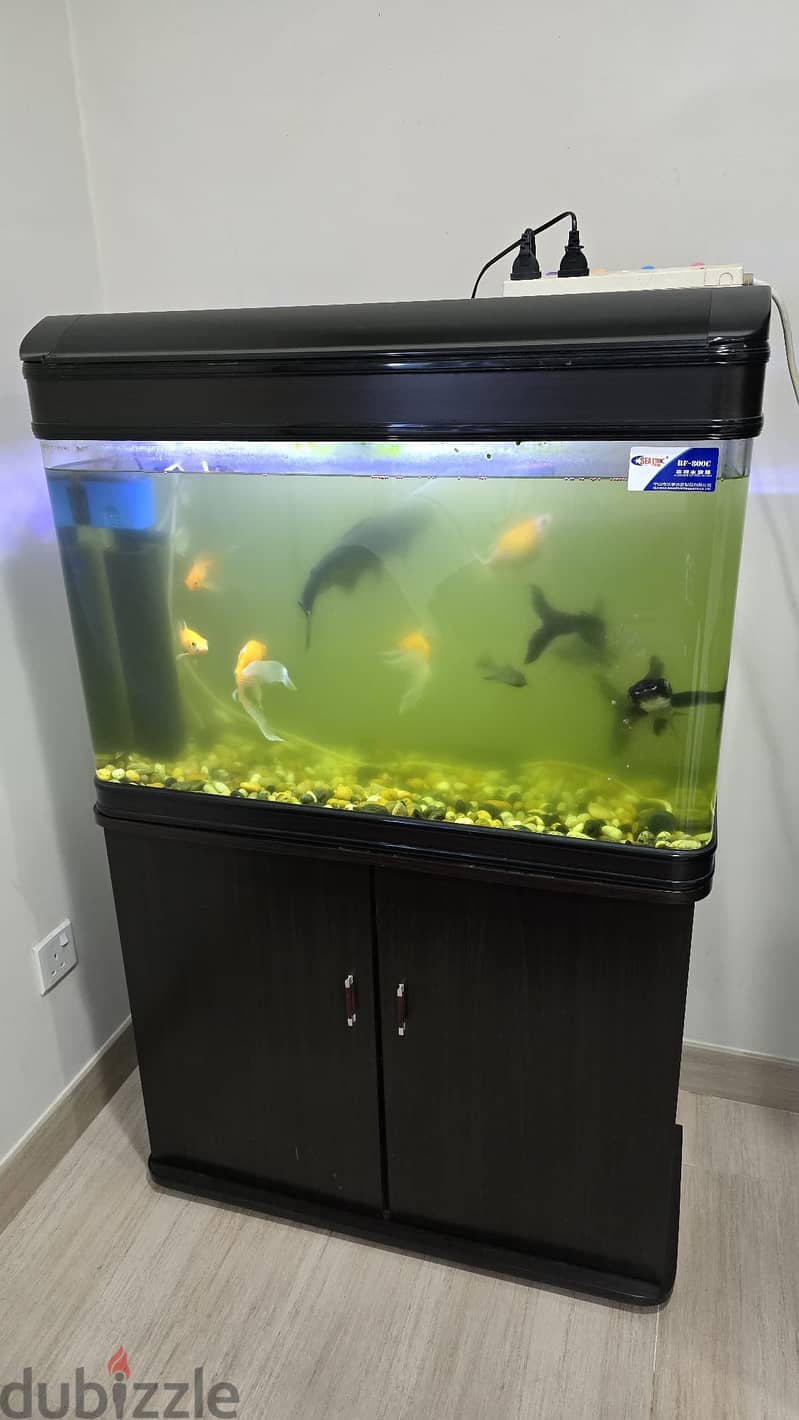 Fish Tank with accessories 3