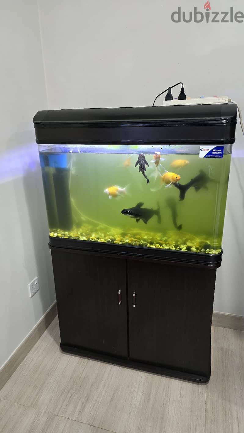 Fish Tank with accessories 4