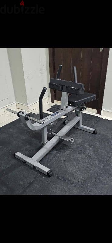 home gym and calves machine well know brands 1