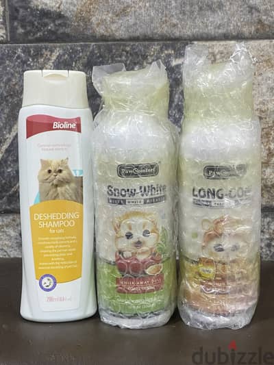 cat shampoo 3 bd