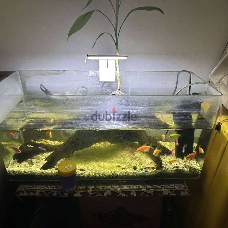 AQUARIUM FOR 5BD 0