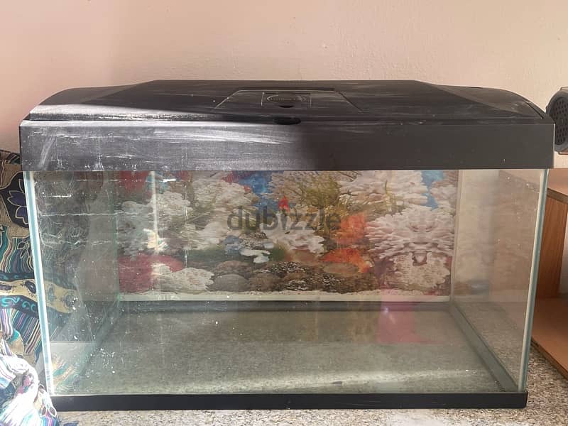 2 fish tank with 2 fishes and filter oxygen pump 3