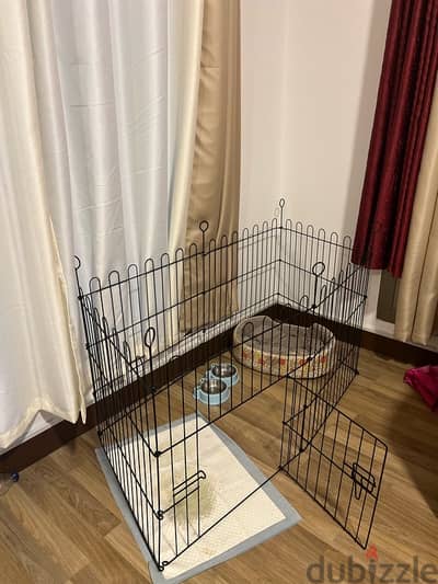 Cage for Puppy