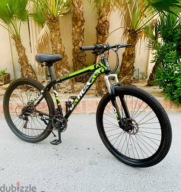 29” MTB 1