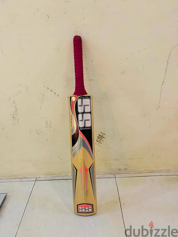 Cricket bat 2