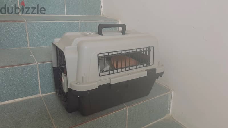 cat small carry cage for sale 1