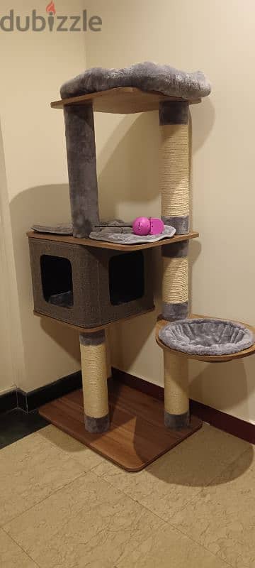 luxury cat house