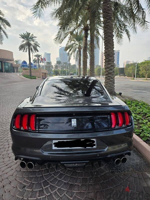 Ford Mustang 2019 1