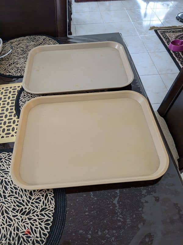 Plastic trays for sale 3