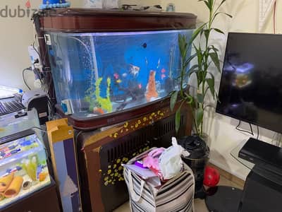 120 m aquarium for sale.