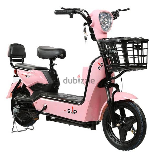 Electric E-Bike High Pawar 1