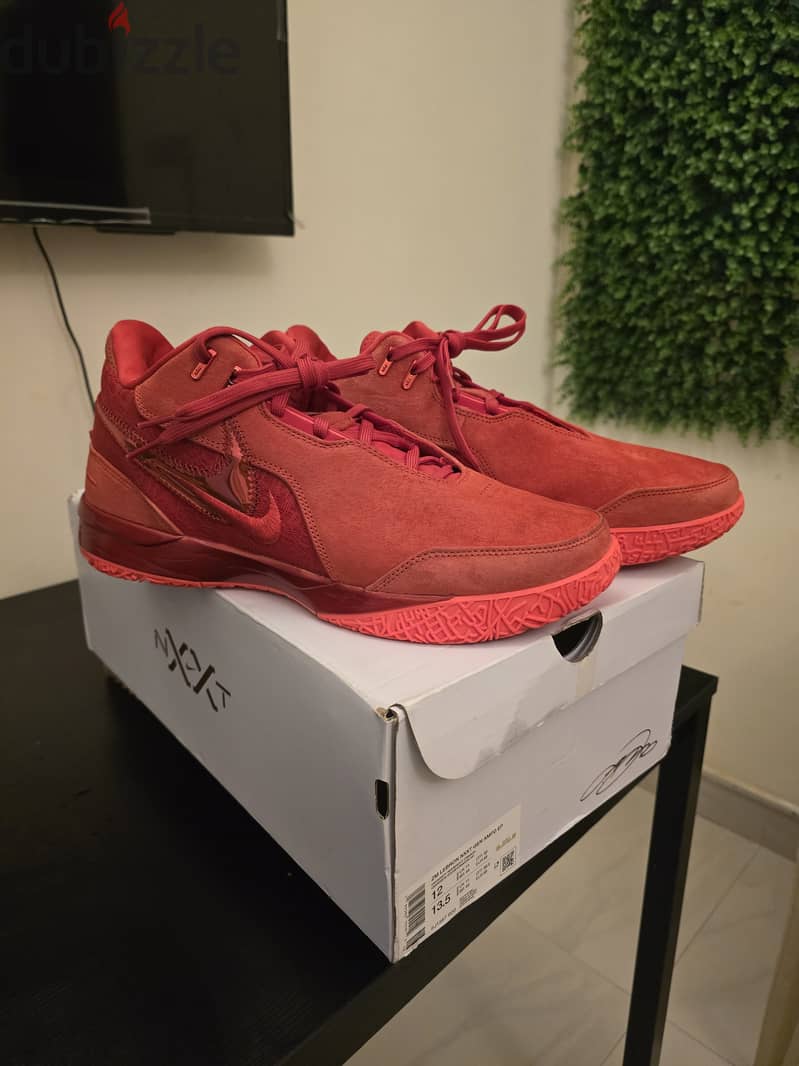 LEBRON NXXT GEN AMPD EP 2