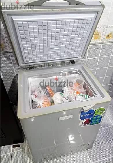 Deep Freezer & Mini Fridge