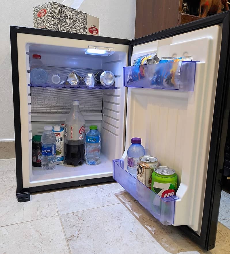 Deep Freezer & Mini Fridge 2