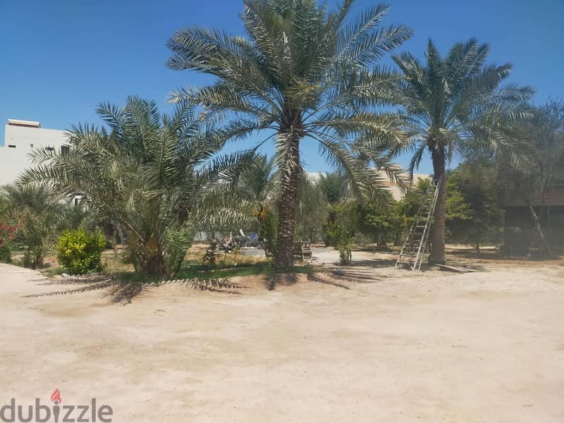 Garden Land for leasing in Jabalat Hibshi BD. 0.500/- per sqm with EWA 2