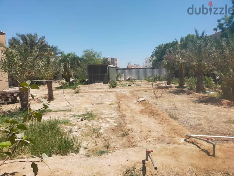 Garden Land for leasing in Jabalat Hibshi BD. 0.500/- per sqm with EWA 4