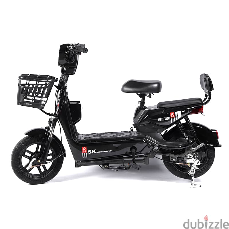 Electric E-Bike Delivery Scooter with High Speed in Damistan 2