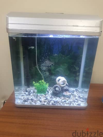 fish tank full set