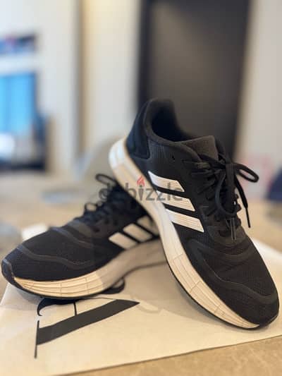 Adidas sneakers