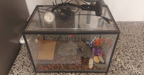 Turtle / Fish Tank with led light