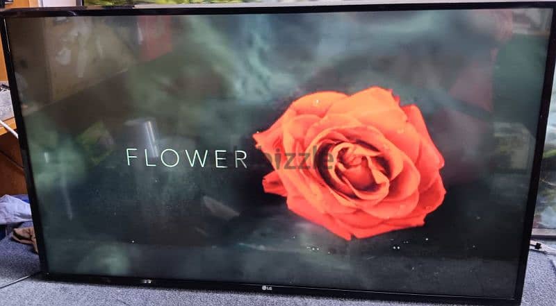 LG LG 43 inch smart go to condition and good working 2