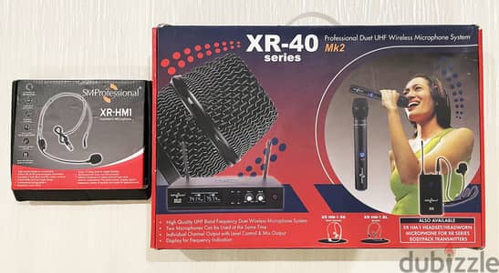 Dual Professional Wireless Microphone