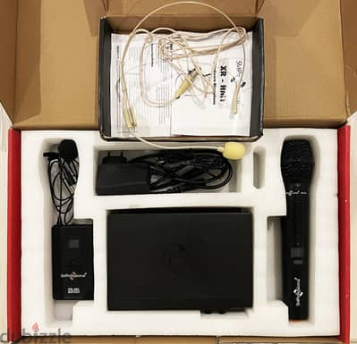 Professional Wireless Microphone (Dual)