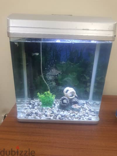 fish tank fullset