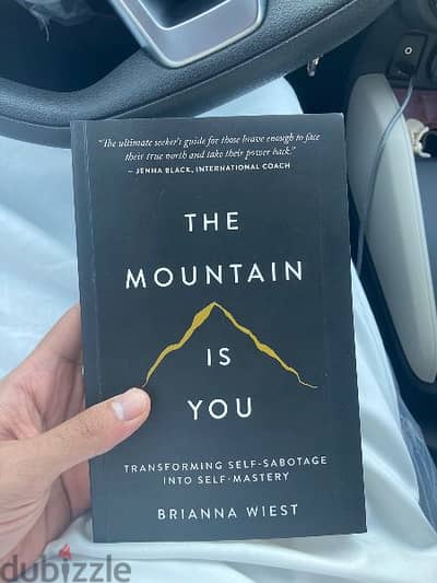 The mountain is you book