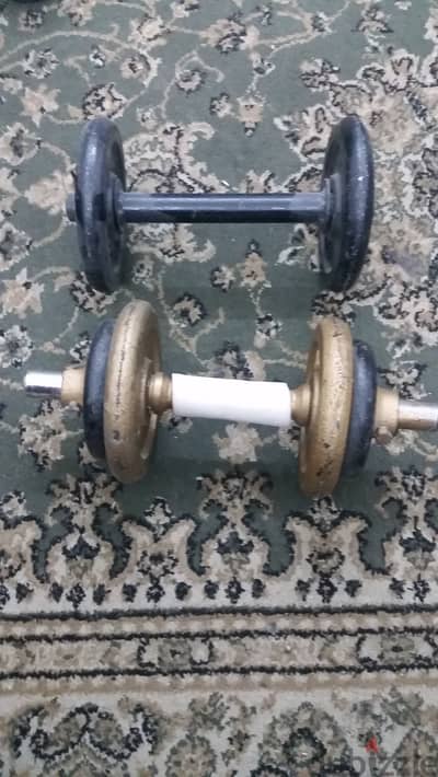 15 KG Dumbbells