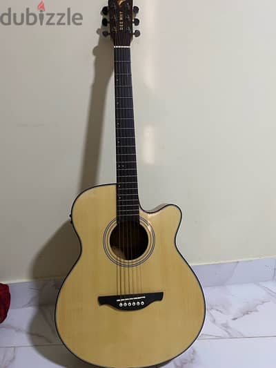 DeeWhy DEQ-01 Acoustic manual Guitar–Excellent Condition [urgent sale]