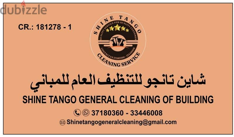 best cleaning company 1