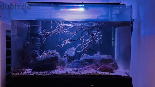 Fish Tanks for sale