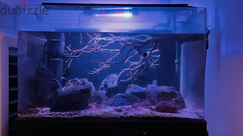 Fish Tanks for sale 0