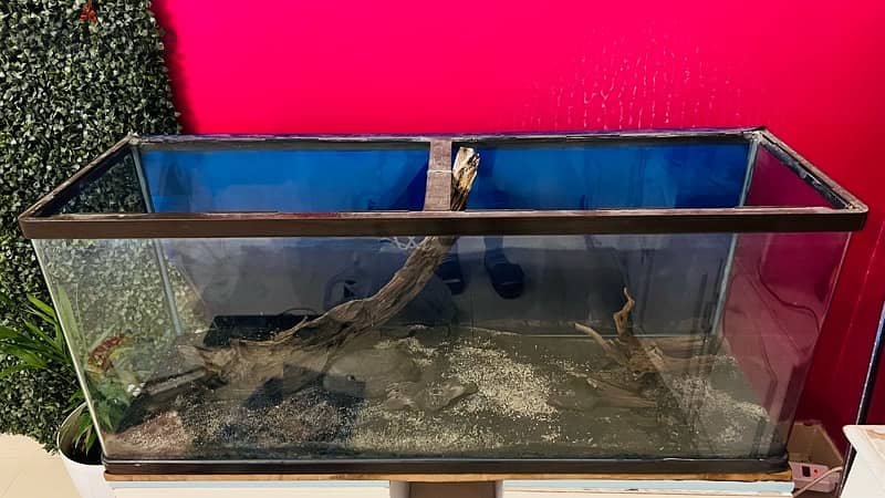 Fish Tanks for sale 1